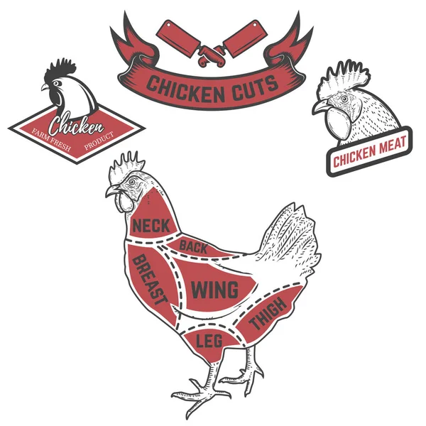 Kyckling slaktare diagram. Designelement för affisch, menyn. Vektor — Stock vektor