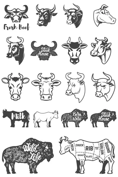 牛の頭とシルエットの大きなセット。ロゴのデザイン要素, — ストックベクタ