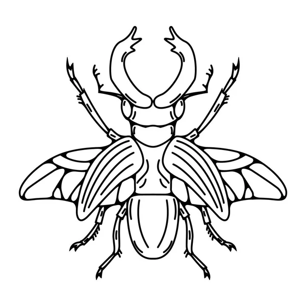 Böcek illüstrasyon izole beyaz arka plan üzerinde. Vektör çizim