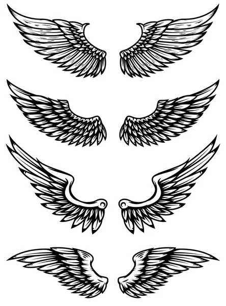 Conjunto de ilustraciones de alas aisladas sobre fondo blanco. Elementos de diseño para logotipo, etiqueta, emblema, signo . — Archivo Imágenes Vectoriales