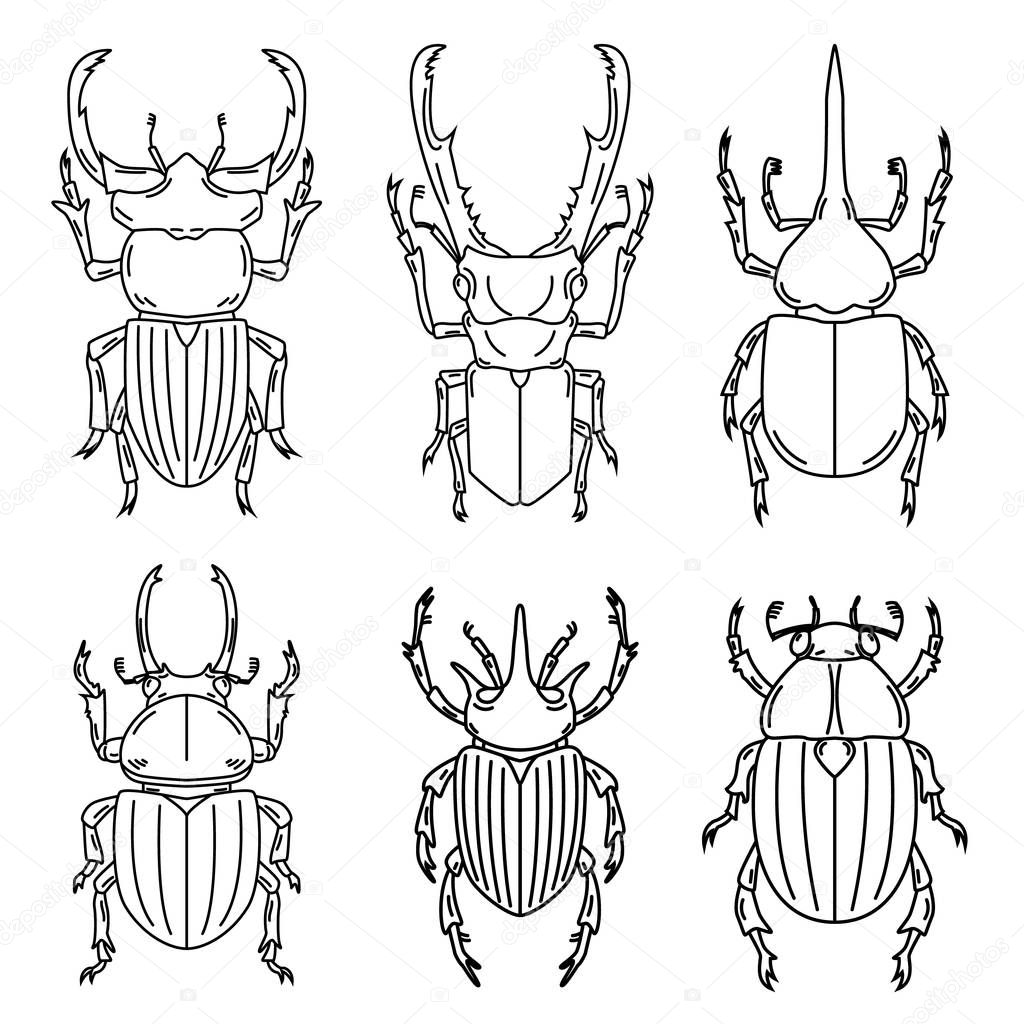 Set of insects illustrations isolated on white background. 