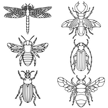 Beyaz arka plan üzerinde izole böceği illüstrasyonlar kümesi.