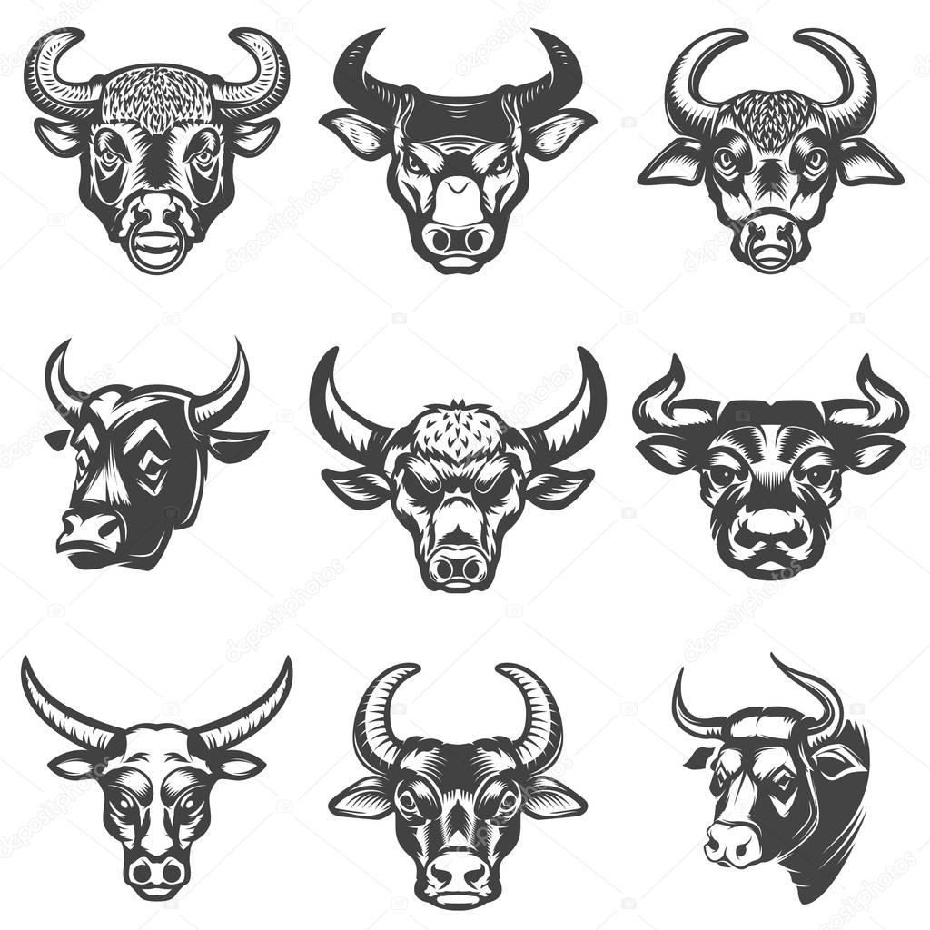 Set of bull heads isolated on white background. Design elements for logo, label, emblem, sign. Vector illustration