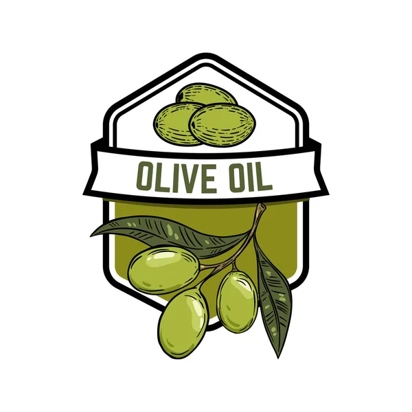 Extra vergine olijfolie. Olive branch. Ontwerpelement voor teken, badge, embleem, label. Vectorillustratie — Stockvector