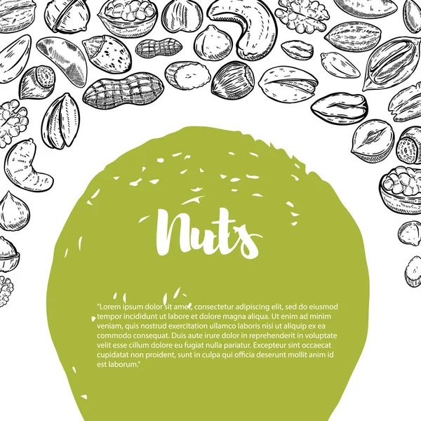 Tonterías. Plantilla volante con borde de nueces ilustraciones . — Archivo Imágenes Vectoriales