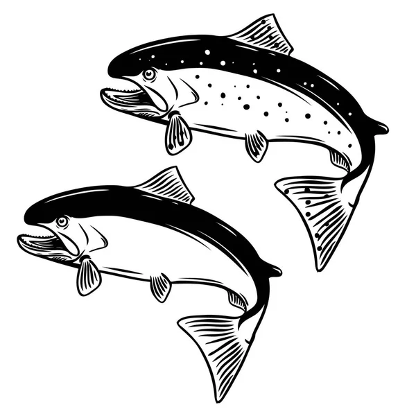 Lachsfisch Illustration auf weißem Hintergrund. — Stockvektor