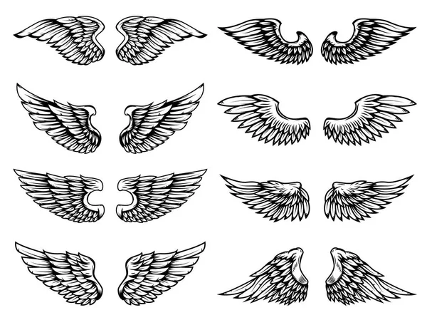 Set of vintage wings illustrations isolated on white background. — Stock Vector