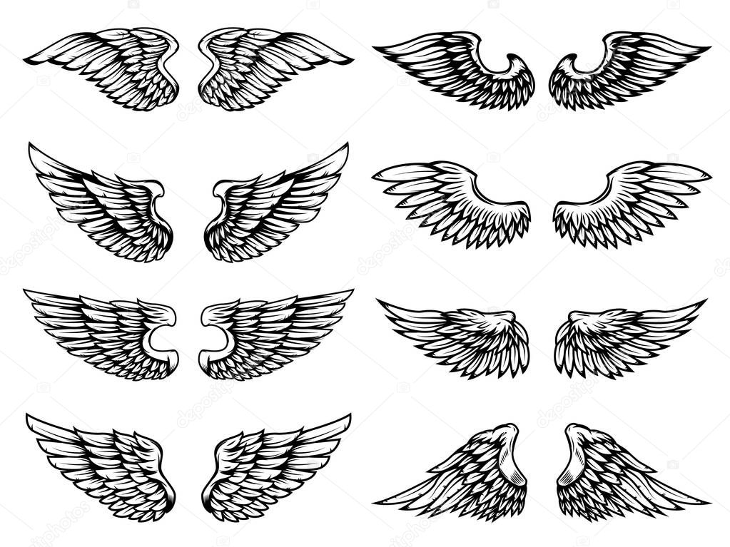 Set of vintage wings illustrations isolated on white background. 