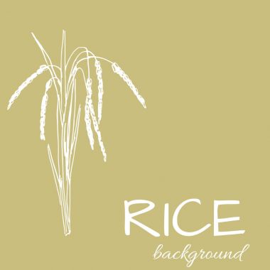 pirinç logosu, çizilmiş bitkiler ile vektör arka plan