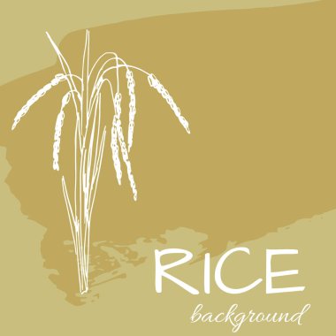 pirinç logosu, çizilmiş bitkiler ile vektör arka plan