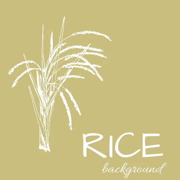 pirinç logosu, çizilmiş bitkiler ile vektör arka plan