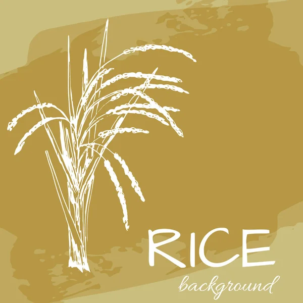 pirinç logosu, çizilmiş bitkiler ile vektör arka plan