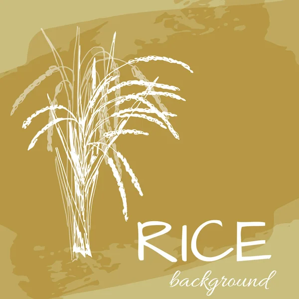 pirinç logosu, çizilmiş bitkiler ile vektör arka plan