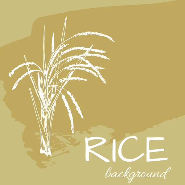 Vektorový pozadí s logem rýže, kreslené rostliny — Stockový vektor