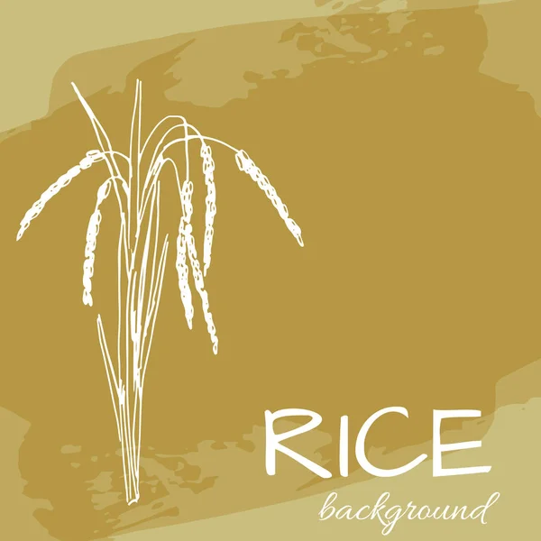 Vektorový pozadí s logem rýže, kreslené rostliny — Stockový vektor