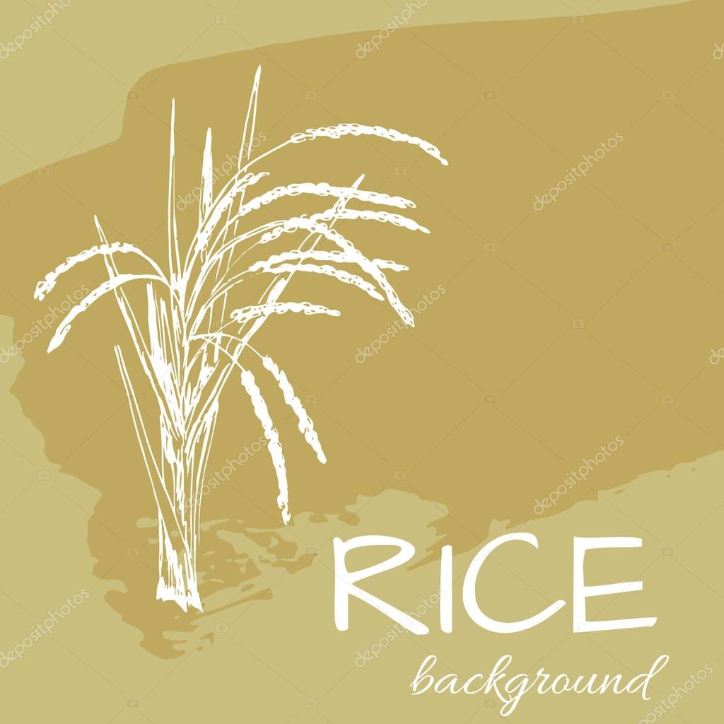 Vector background with rice logo, hand-drawn plants