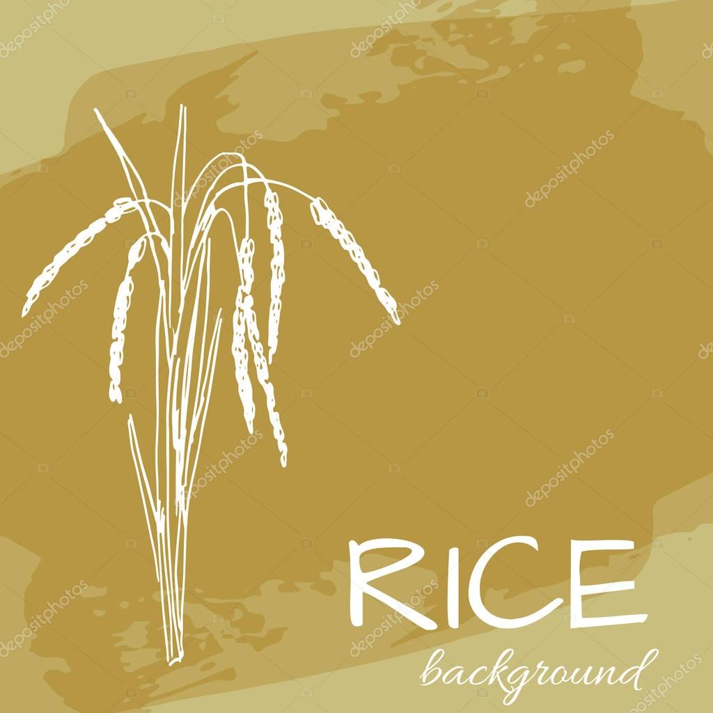 Vector background with rice logo, hand-drawn plants