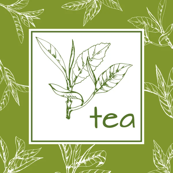 çay logo vektör arka plan ile çizilmiş bırakır ve çay şubeleri