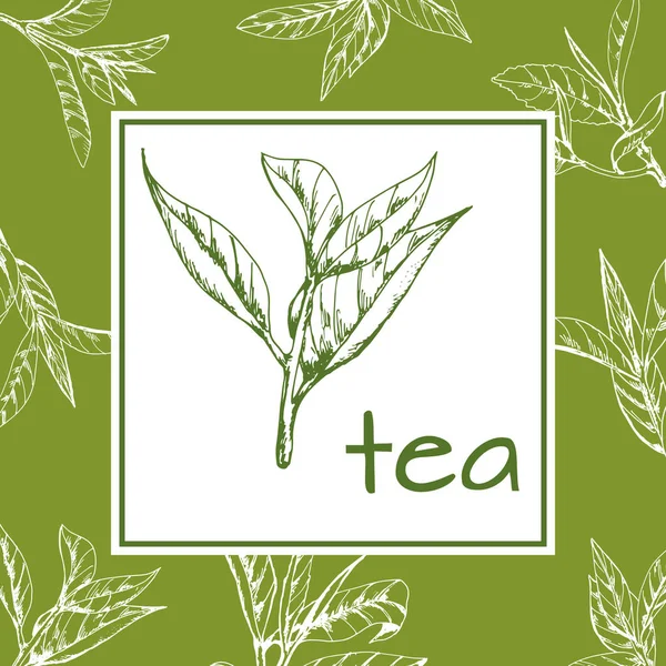 Čaj vektorové logo, pozadí s ručně tažené listí a větvičky čaje — Stockový vektor