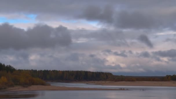 Rivière et forêt en automne — Video
