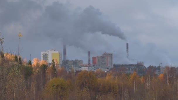 Трубний завод і ліс — стокове відео