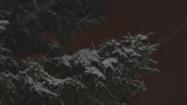 Ladin şube ile kar düştü