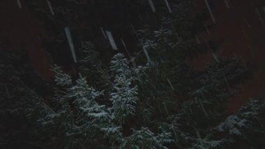 Gece Noel ağacı ile kar düştü