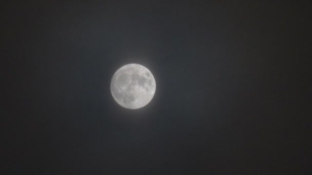 Pleine lune pendant une chute de neige — Video