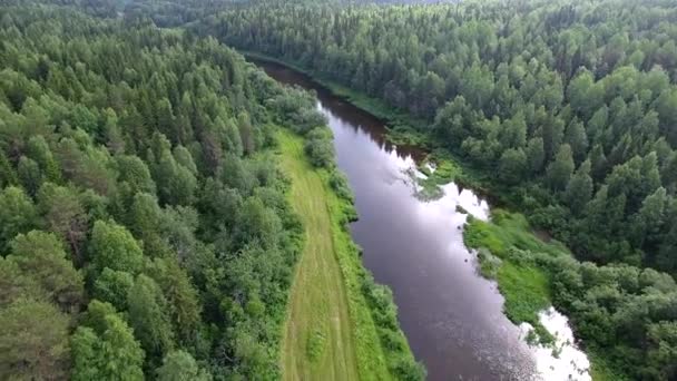 Вид зверху ліс та річка — стокове відео