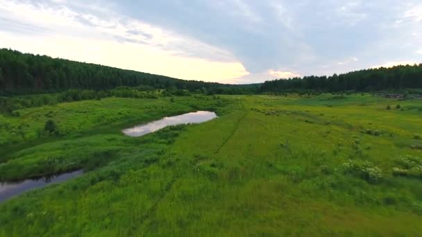 Mező és a víz, az éjszakai járat — Stock videók