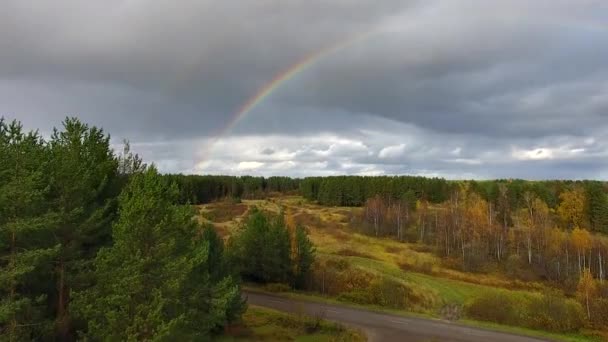 Arcobaleno sulla foresta in autunno — Video Stock