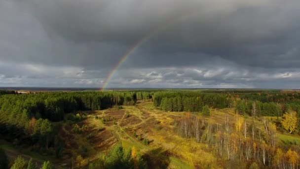 Arco iris sobre bosque y campo — Vídeos de Stock