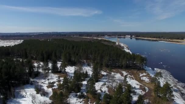 森林和河流在春天的时候 影片从 Quadcopter 在森林和河在春天 这条河仍然是漂浮的冰 在地上躺着雪 — 图库视频影像