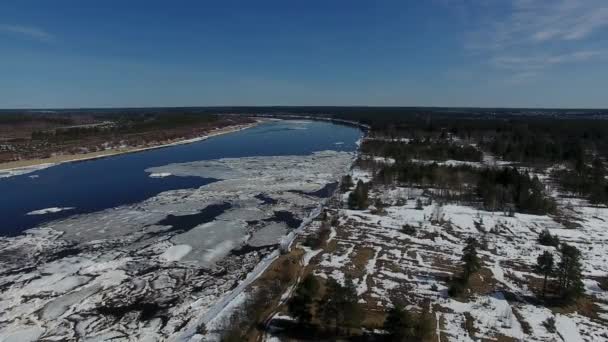 Лес Река Весеннее Время Видео Квадрокоптера Над Лесом Рекой Весной — стоковое видео