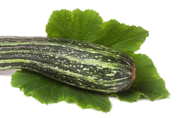 One zucchini with leaf isolated on white background — Stock Photo, Image