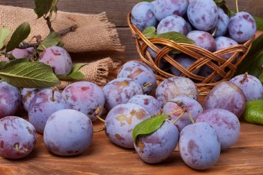 Erik çul ahşap zemin üzerine bir hasır sepet içinde