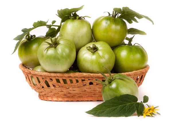 Unreife grüne Tomaten in einem Weidenkorb isoliert auf weißem Hintergrund — Stockfoto