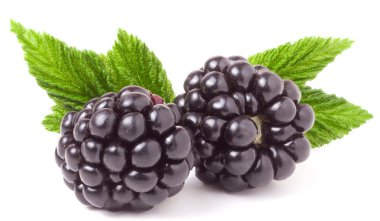 BlackBerry üzerinde beyaz arka plan closeup izole yaprak ile