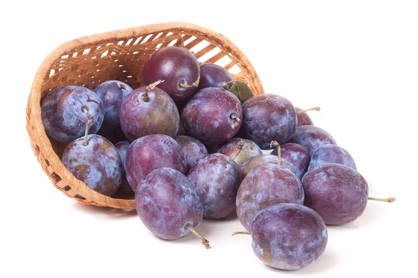 Prune dans un panier en osier isolé sur fond blanc — Photo