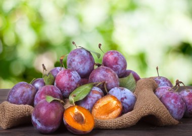 Erik arka plan bulanık ile Sim Tarih