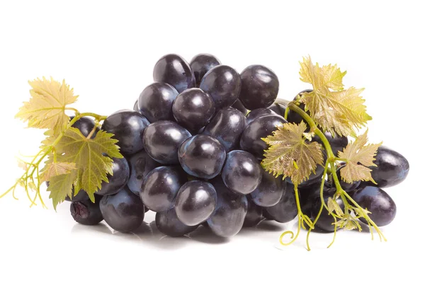 Kiść winogron niebieski z liść na białym tle — Zdjęcie stockowe