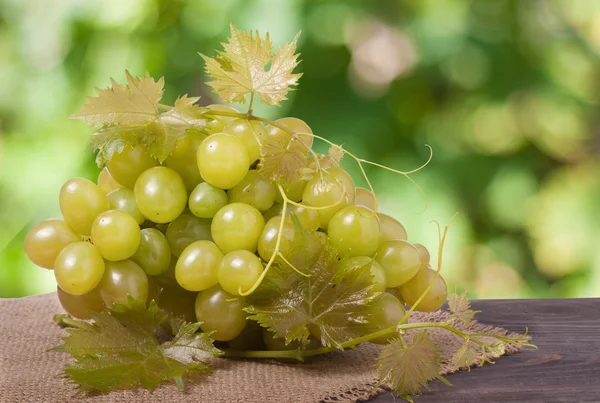 Racimo de uvas verdes maduras sobre una mesa de madera con fondo borroso — Foto de Stock