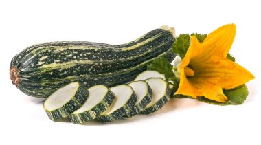 Yaprak ve çiçek beyaz arka plan üzerinde izole bir kabak