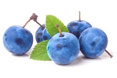 taze karaçalı meyveleri ile yaprakları üzerinde izole beyaz arka plan