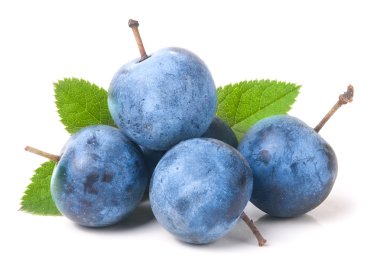 heap of fresh blackthorn berries with leaves isolated on white background clipart