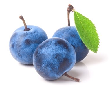 taze karaçalı meyveleri ile yaprakları üzerinde izole beyaz arka plan