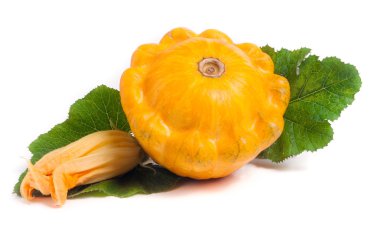 yaprak ve çiçek beyaz arka plan üzerinde izole ile sarı pattypan kabak