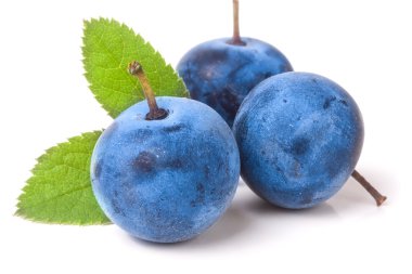 taze karaçalı meyveleri ile yaprakları üzerinde izole beyaz arka plan