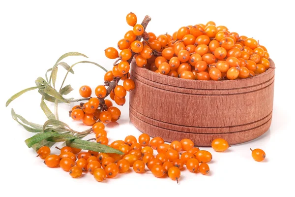 Sea-buckthorn berries in a wooden bowl with sprig isolated on white background — Stock Photo, Image