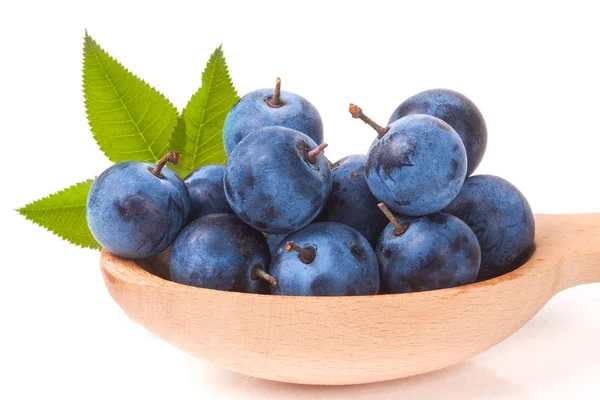 Schlehe Beeren in einem Holzlöffel mit Blättern isoliert auf weißem Hintergrund — Stockfoto